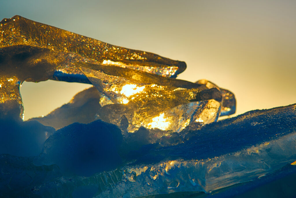 Microscopic image of a blue stained leaf
